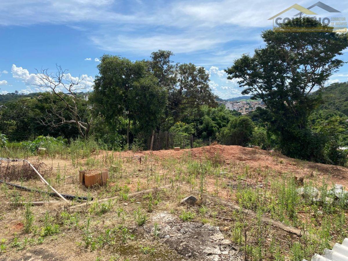 WhatsApp Image 2025-01-21 at 15.45.25.jpeg